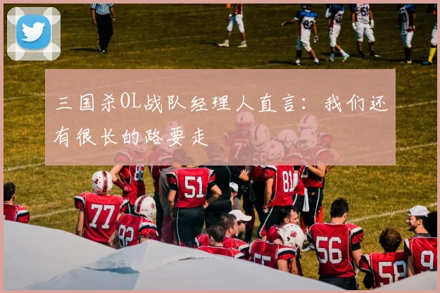 三国杀OL战队经理人直言：我们还有很长的路要走