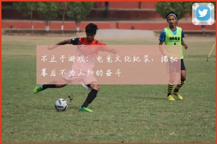 不止于游戏：电竞文化纪录，揭秘幕后不为人知的奋斗